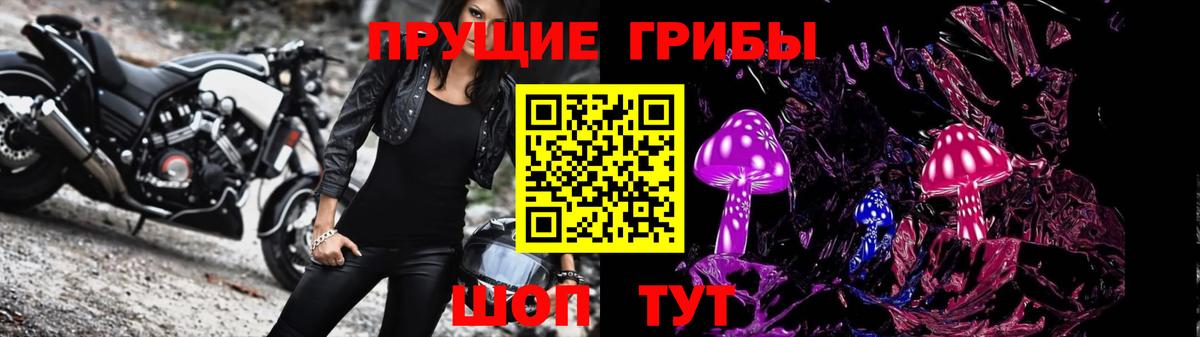 Новотроицк  Псилоцибиновые грибы Psilocybe  Вход с VPN  Галлюциногенные грибы Psilocybe 